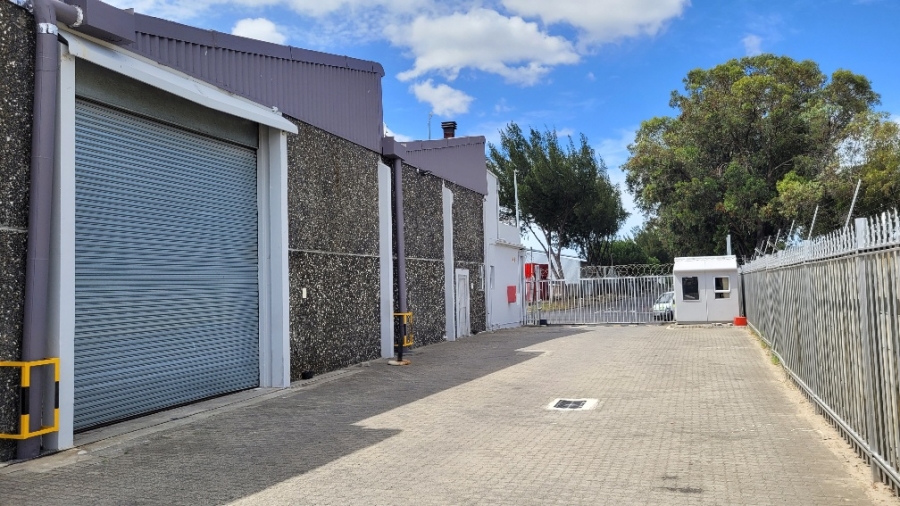 To Let Commercial Property for Rent in Epping Industrial Western Cape